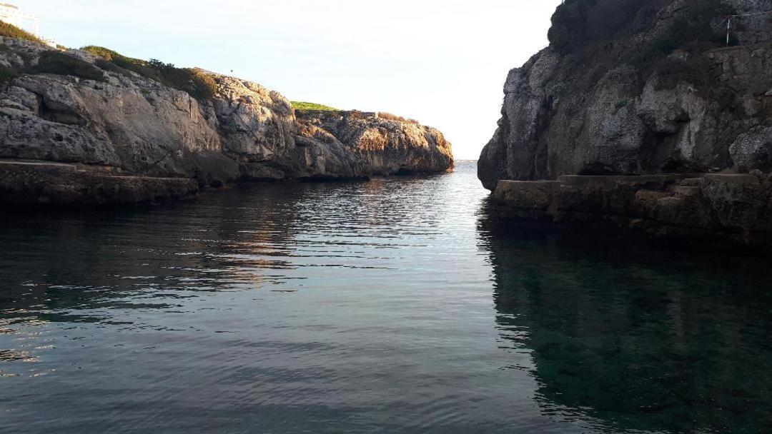 Apartamentos Ses Orenetes Cala'N Blanes  Exterior foto